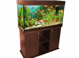 Большой выбор аквариумов в интернет-магазине ArovanAqua / Кострома